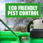 Eco friendly pest control Rk groups